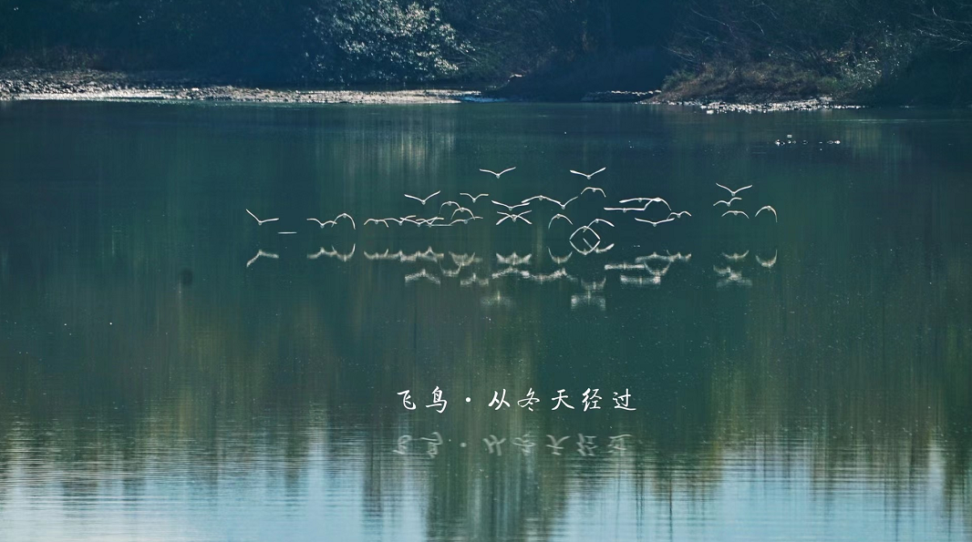 韶關始興：夏去冬來來鳥翩躚